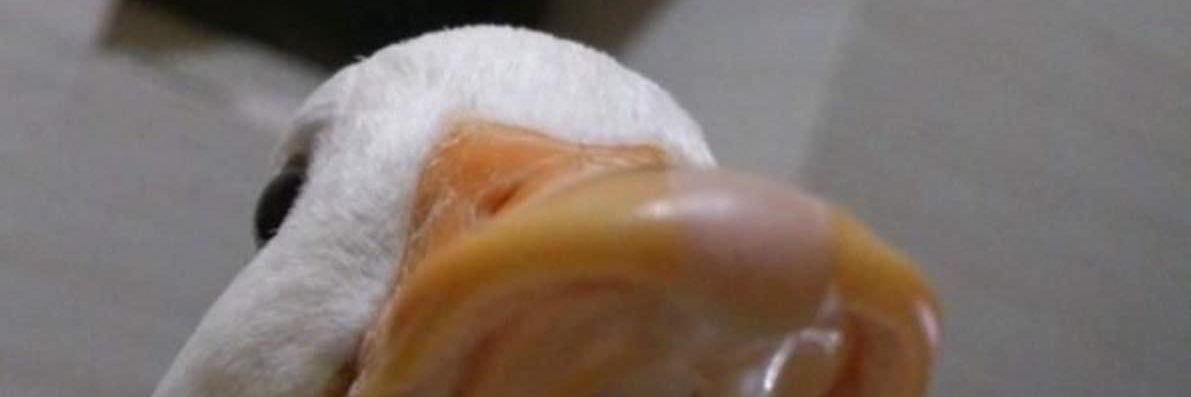 Awallace008's profile banner image
