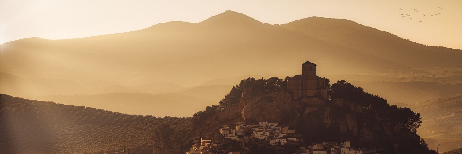 Inutopia's profile banner image