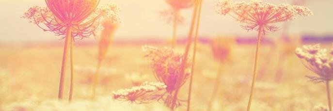 CamiScarione's profile banner image