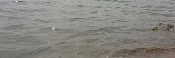 BSemphego Profile Banner