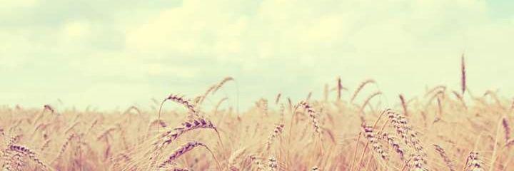 Shanek91's profile banner image