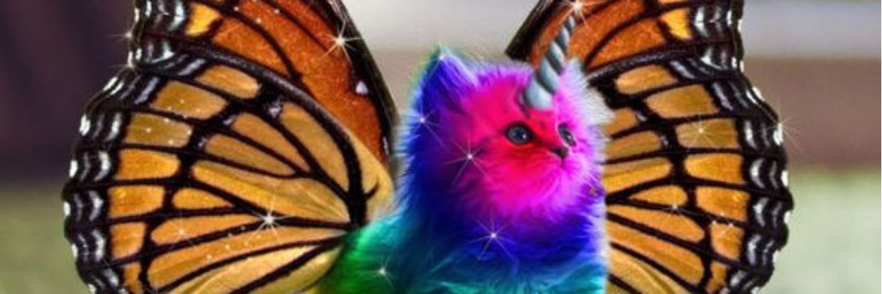 gerly1's profile banner image