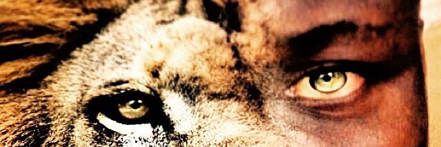 Tunnygee's profile banner image