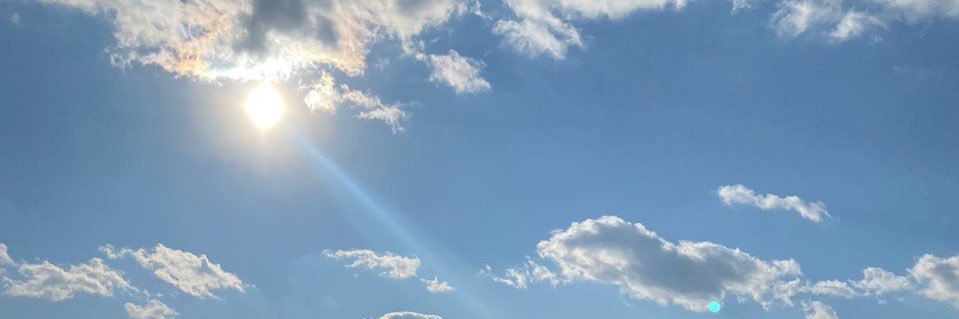 🍀 banner