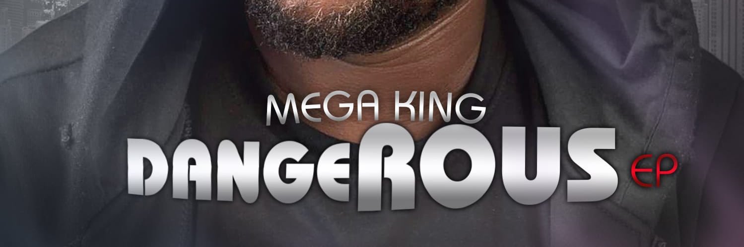 Megaking4's profile banner image