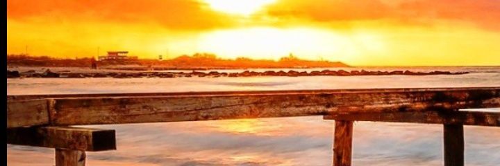 🔁🎄ENGR®|NEVILLE_COKER©| #VOXPOPULI,A 🌍 RIGHT!💦's banner