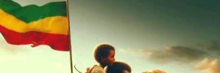 negicomp's profile banner image