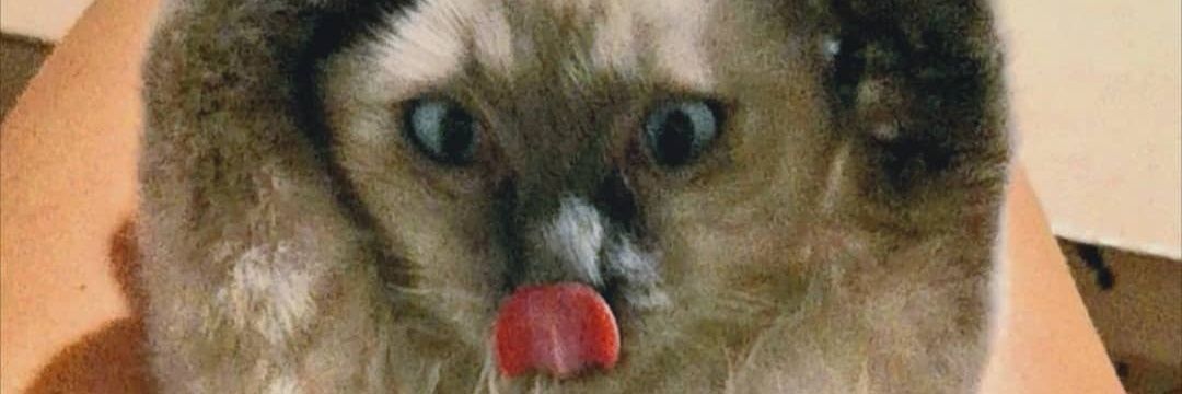 Giulssss_'s profile banner image