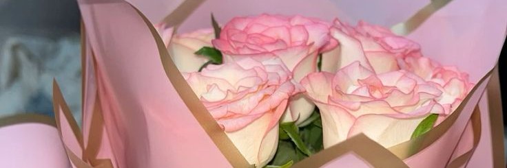 ☀︎سيرِّين banner