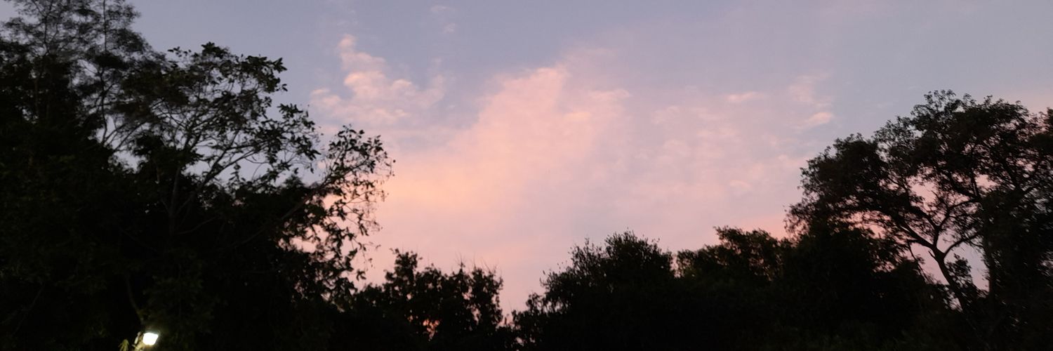 diannakell20's profile banner image