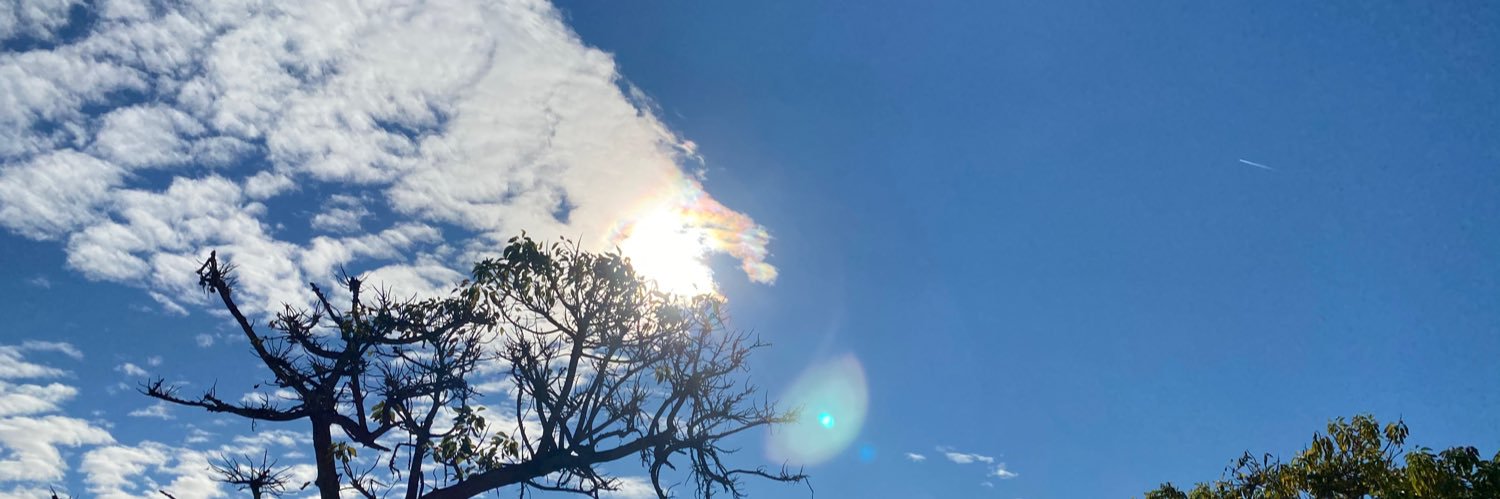 MCasamor's profile banner image