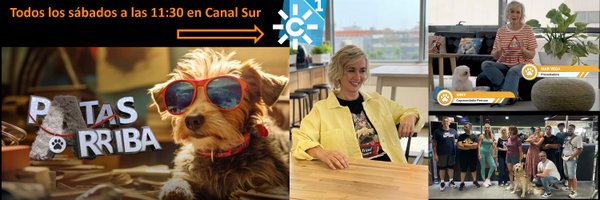 LapaCreativa Profile Banner