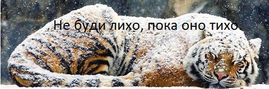 evdokimov61's profile banner image