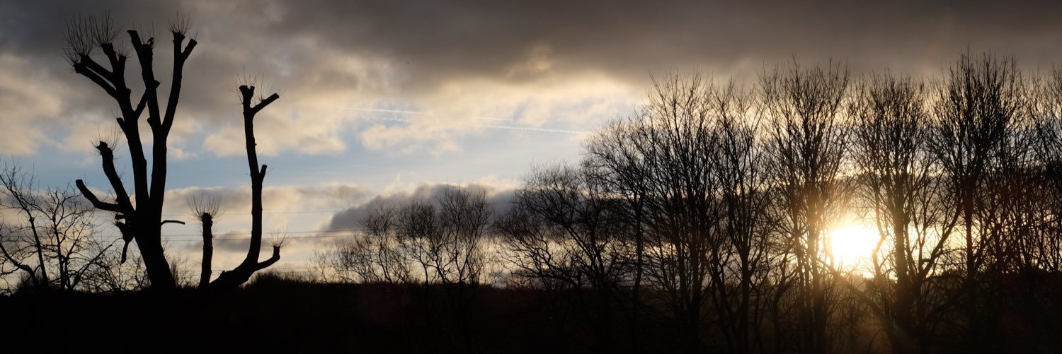rebaicasafiya's profile banner image