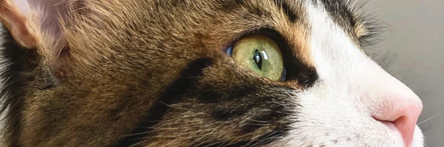tanselcetinn's profile banner image