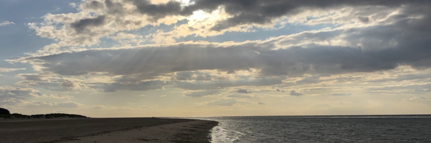 hollyyyscott's profile banner image