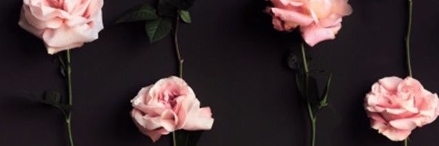 caarolinegeorge's profile banner image