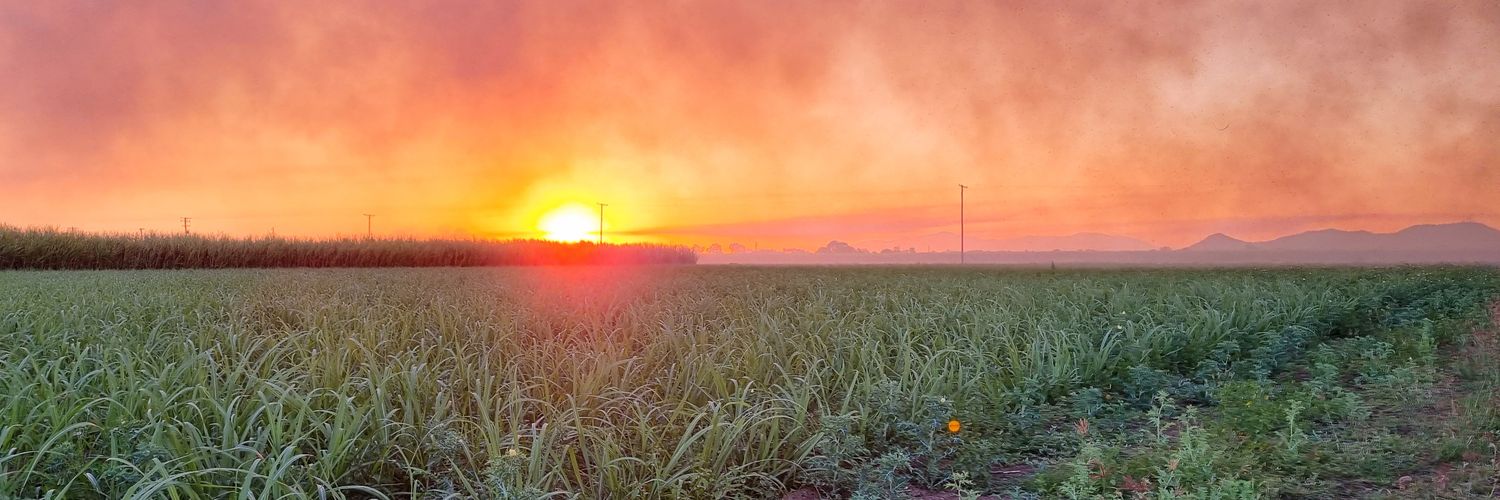 nicholaswiseman's profile banner image