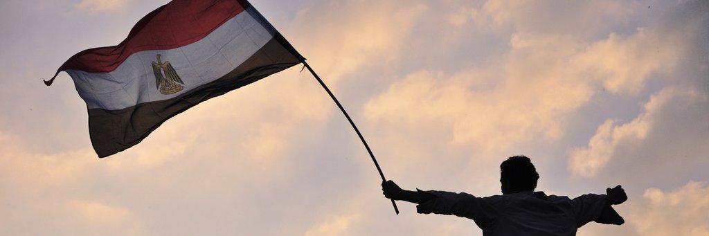 Shady ElGhazaly Harb banner