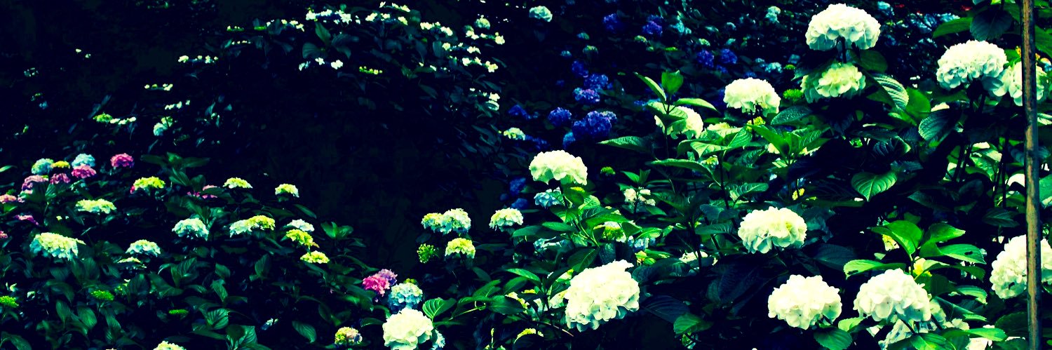 723o_n's profile banner image