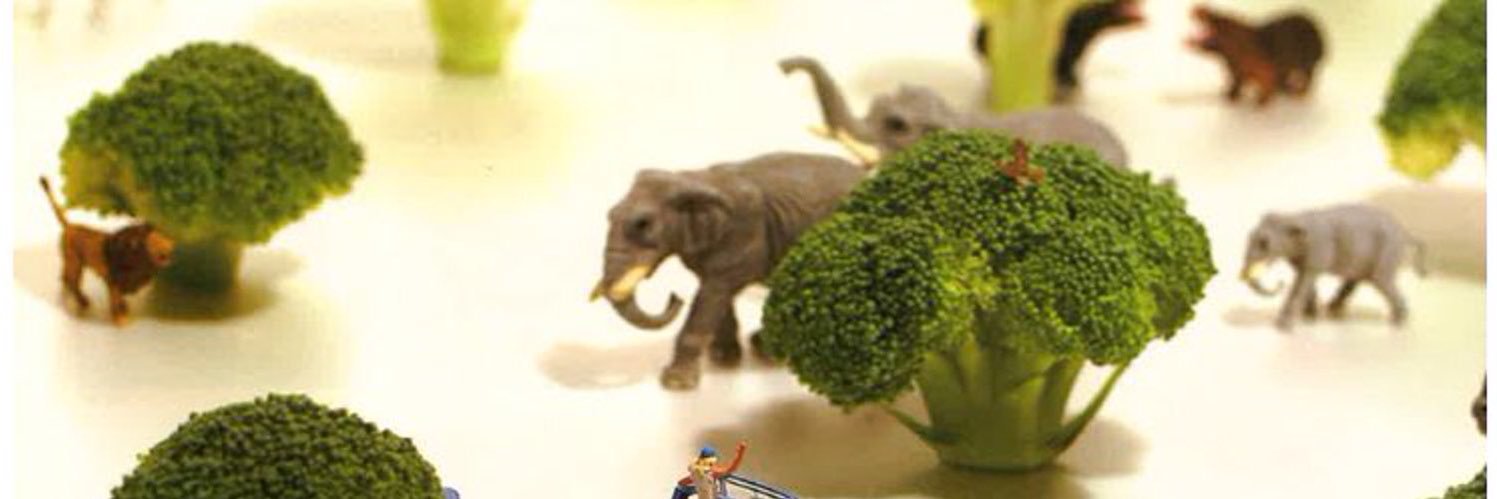 kaaaa8_8's profile banner image