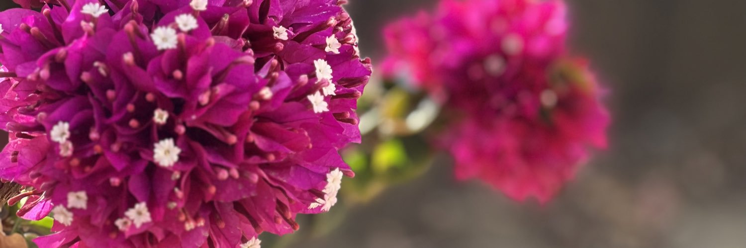 عبدالعزيز الزهراني banner