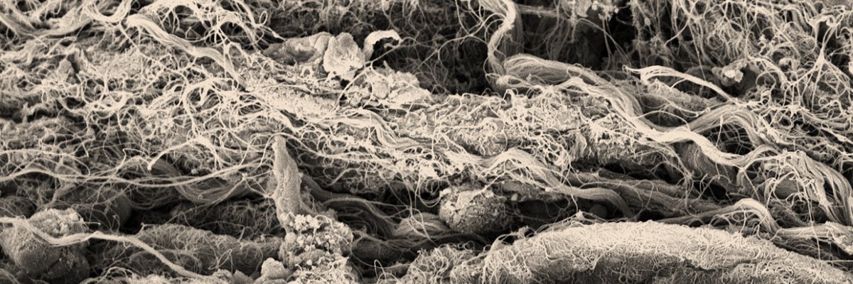 Matrix Dynamics banner