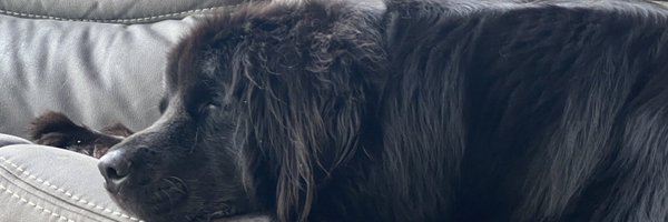 CoachAKaple Profile Banner