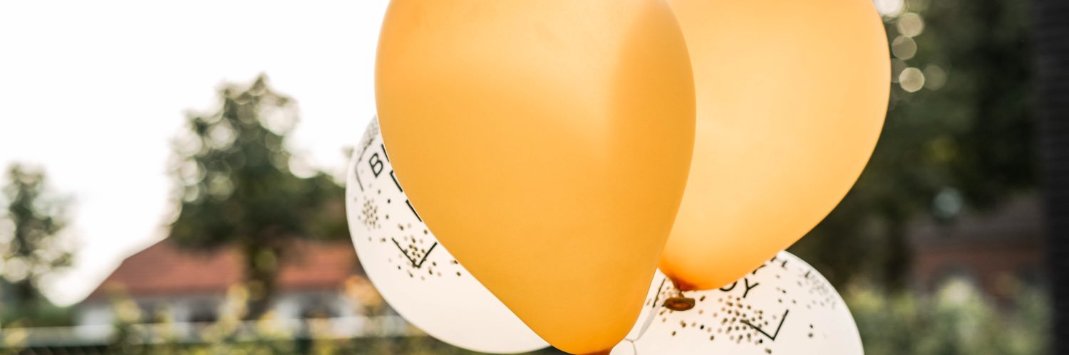 scempie's profile banner image