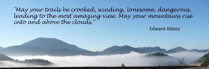 RandomDuckess, question everything banner