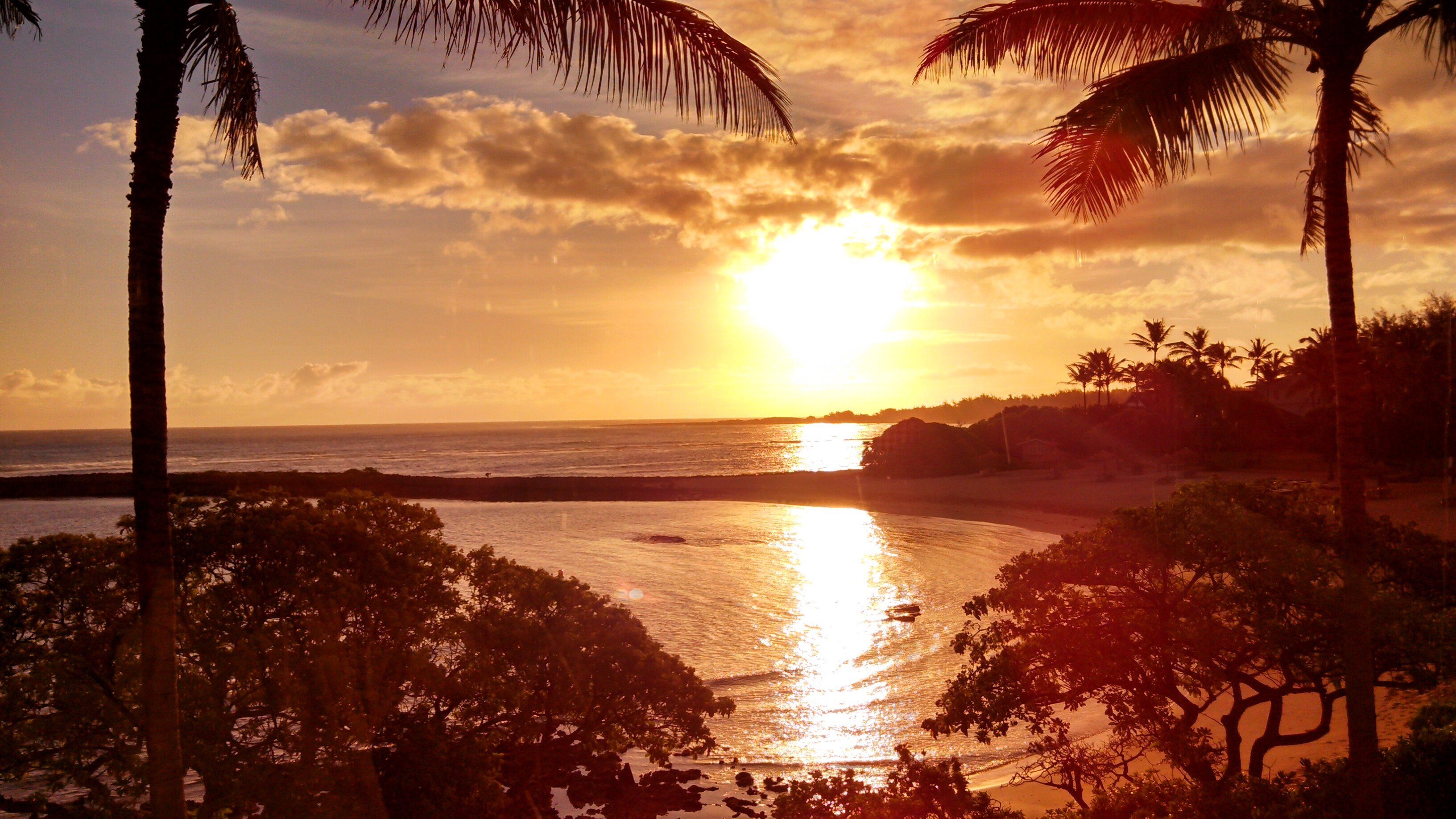 Kevin Burroughs banner