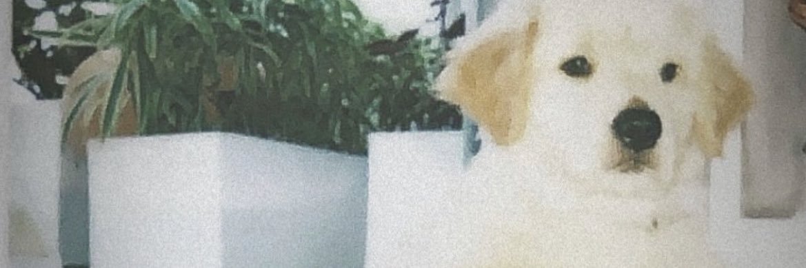 pranit11_'s profile banner image
