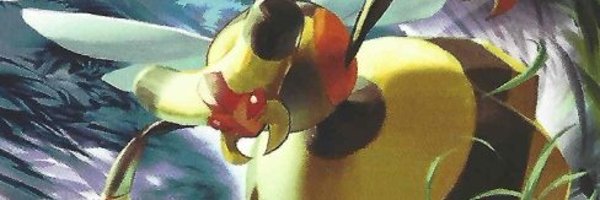 poke_hive Profile Banner