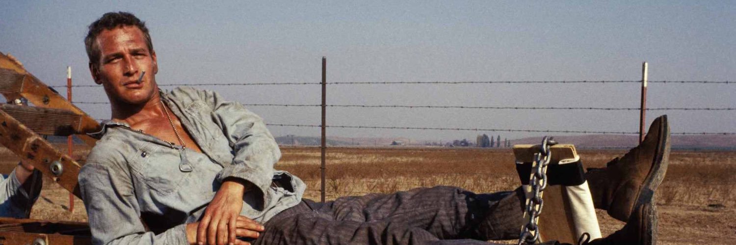 Snape Plissken banner