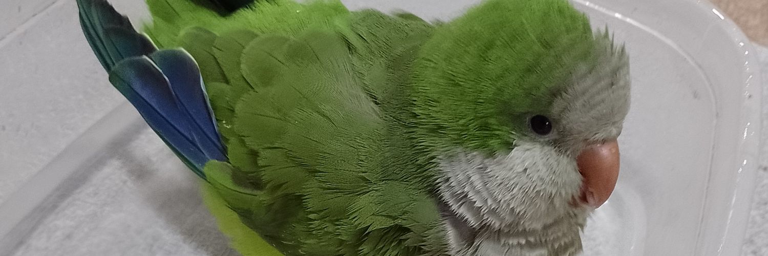 MaleePZ's profile banner image