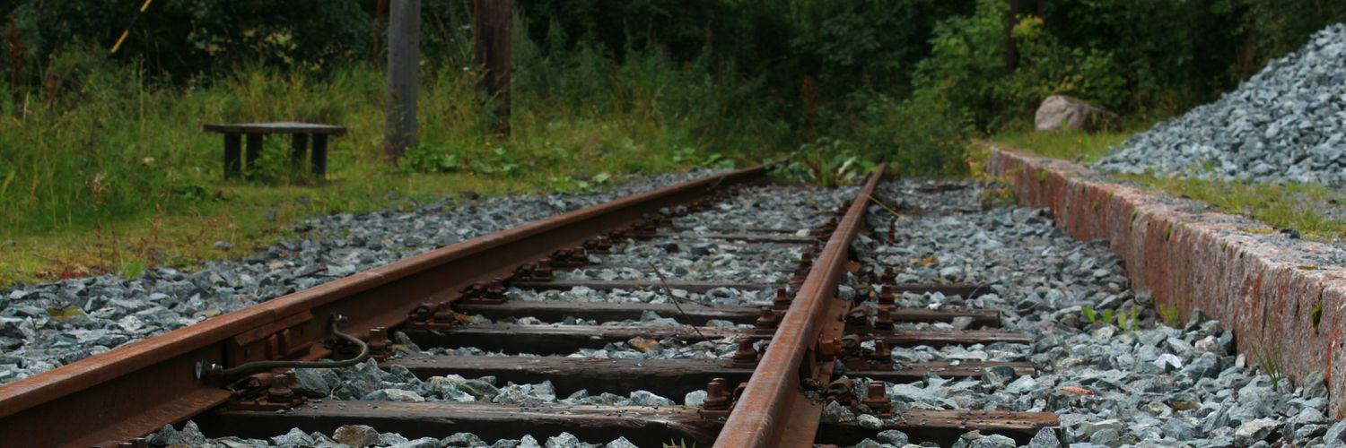 Irene P. Encinar banner