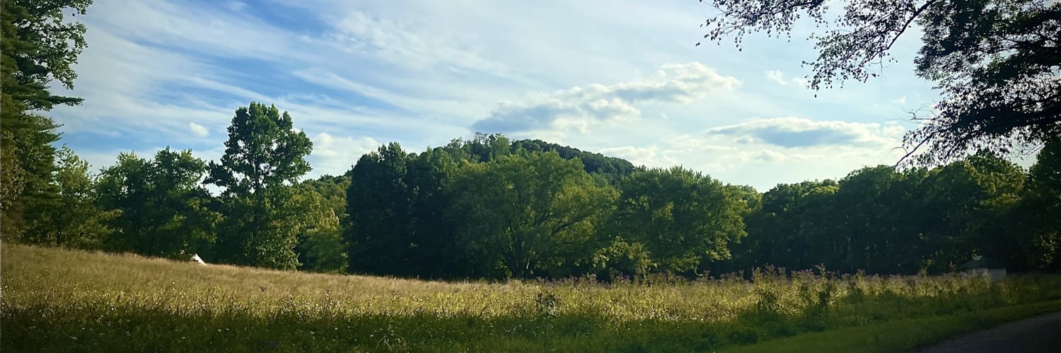 LanePark99's profile banner image