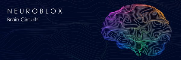 neuroblox Profile Banner