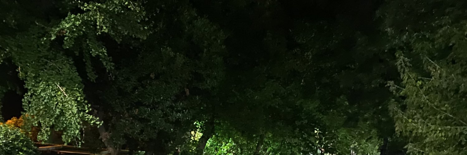 illalog's profile banner image