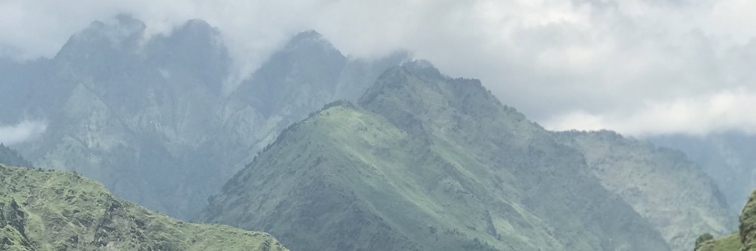 ReetiBerry's profile banner image