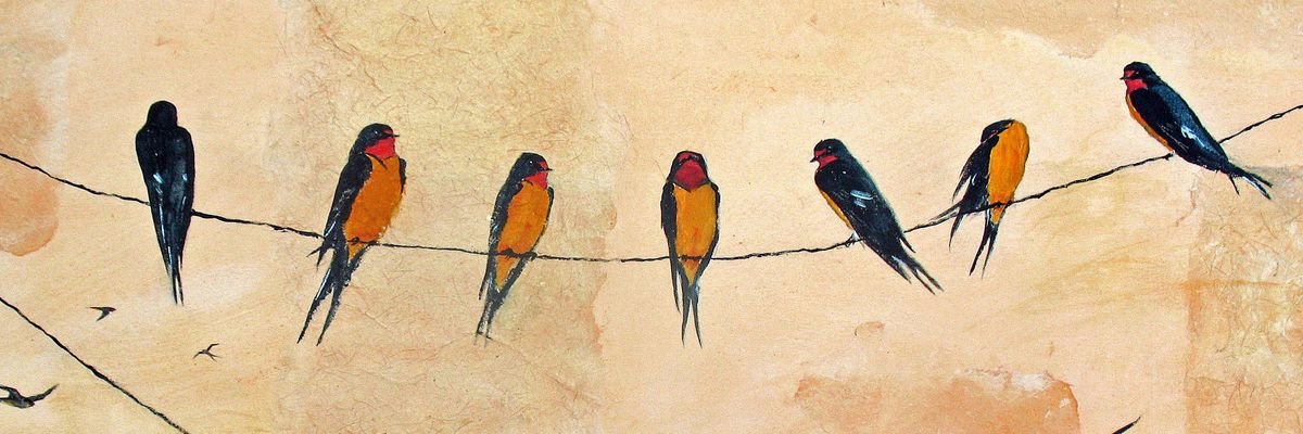 Erica Swallow banner