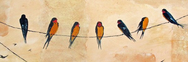 ericaswallow Profile Banner