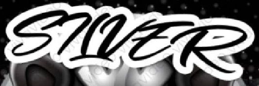 M.S.E_SILVER.JAGUAR banner