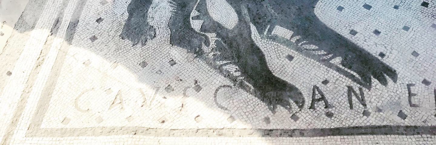 despotismo iletrado banner
