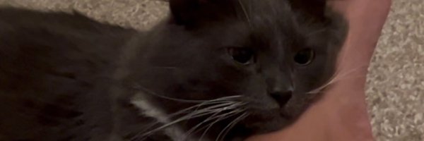 jjashole Profile Banner