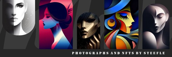 steefle Profile Banner