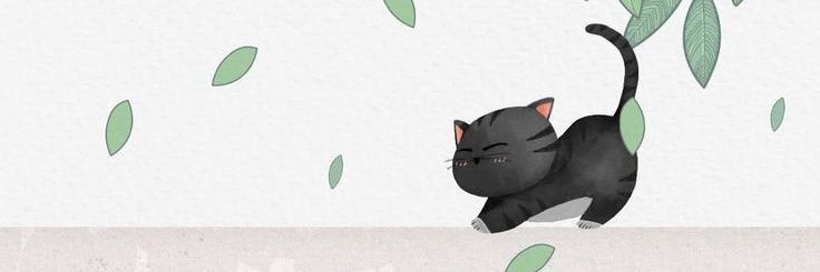 patmlc's profile banner image