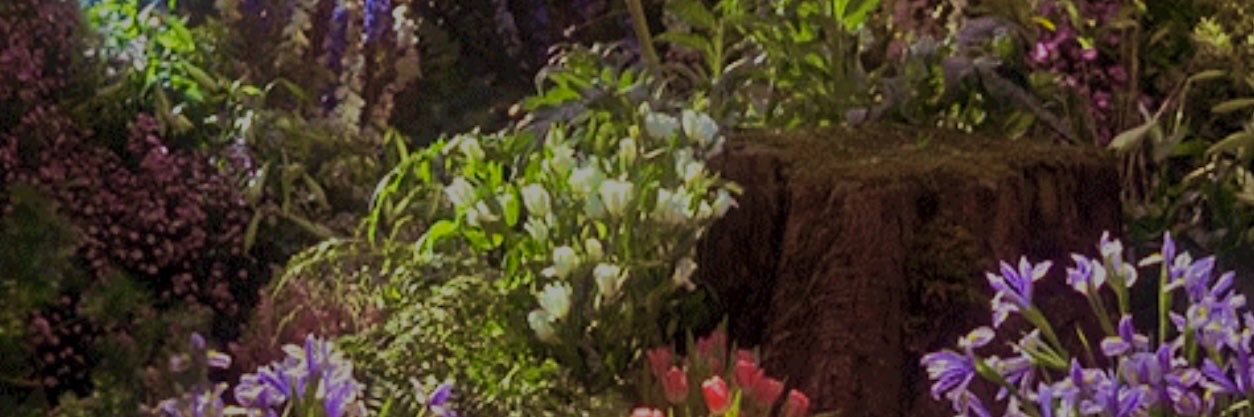 darlingfallls's profile banner image