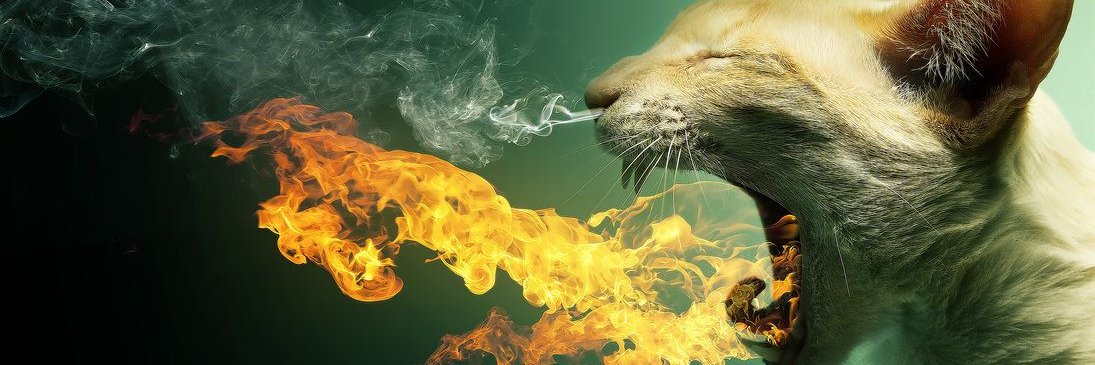 Arrow Durfee ~Uncensored Truth ~ Medical Anarchist banner