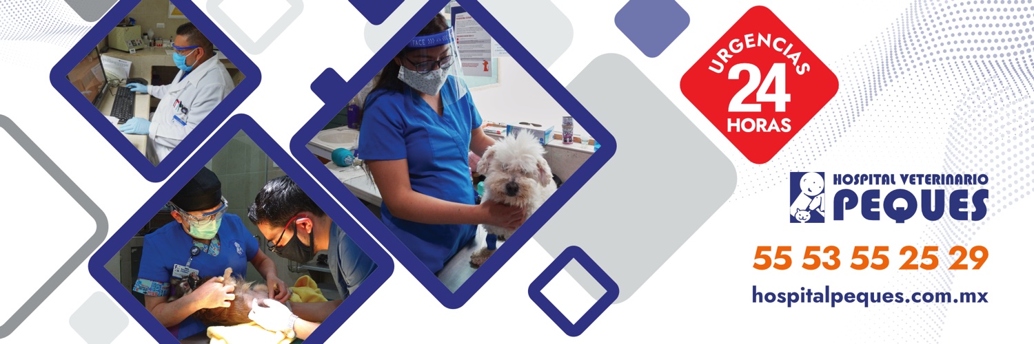 Hospitalpeques's profile banner image